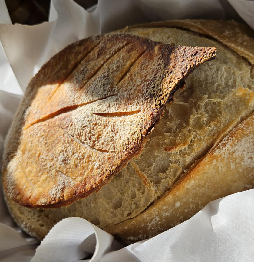 Classic Sourdough